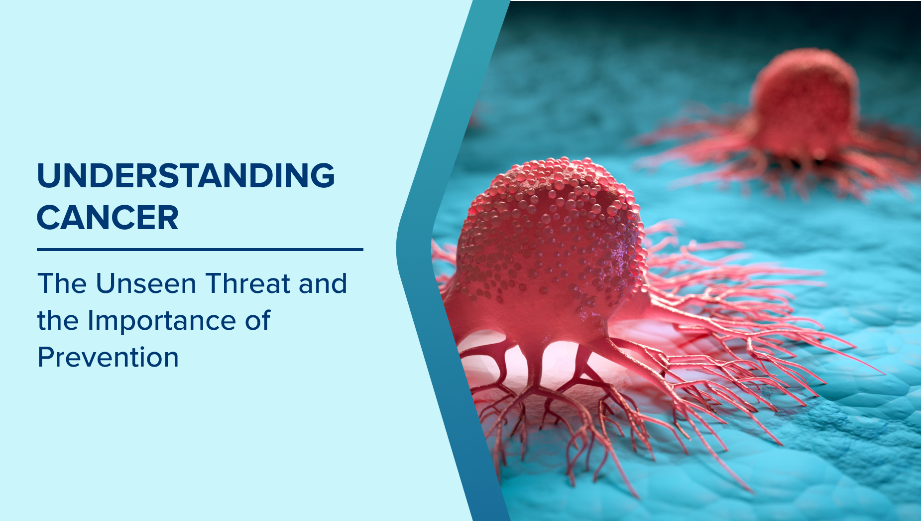 Understanding Cancer